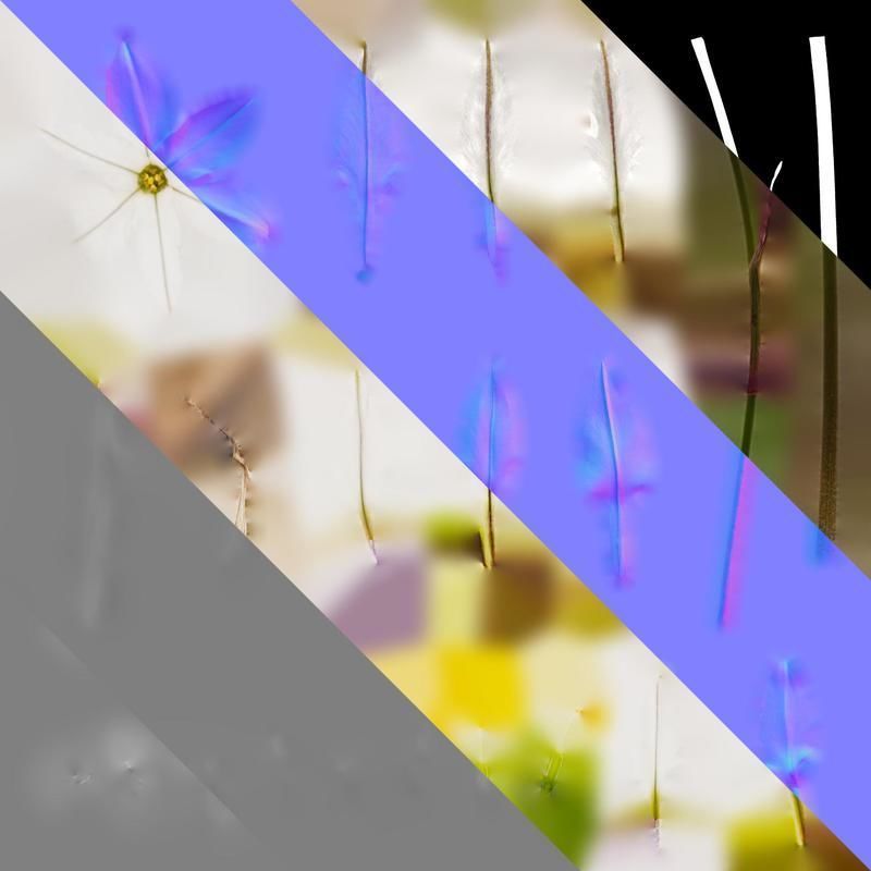 Anydrafts Ipheion uniflorum alberto castillo Atlas 02 Texture_8