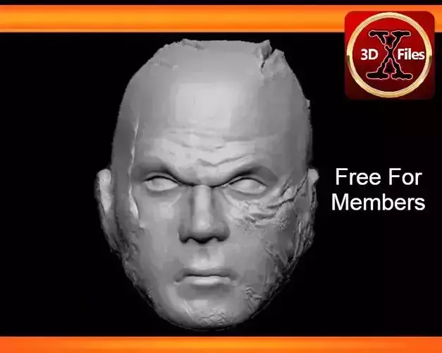 Darth Vader - Anakin - Star Wars Custom Action Figure