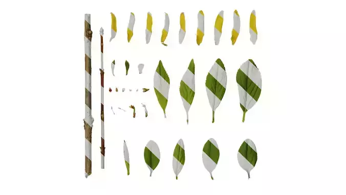 Anydrafts Forsythia viridissima Atlas 01