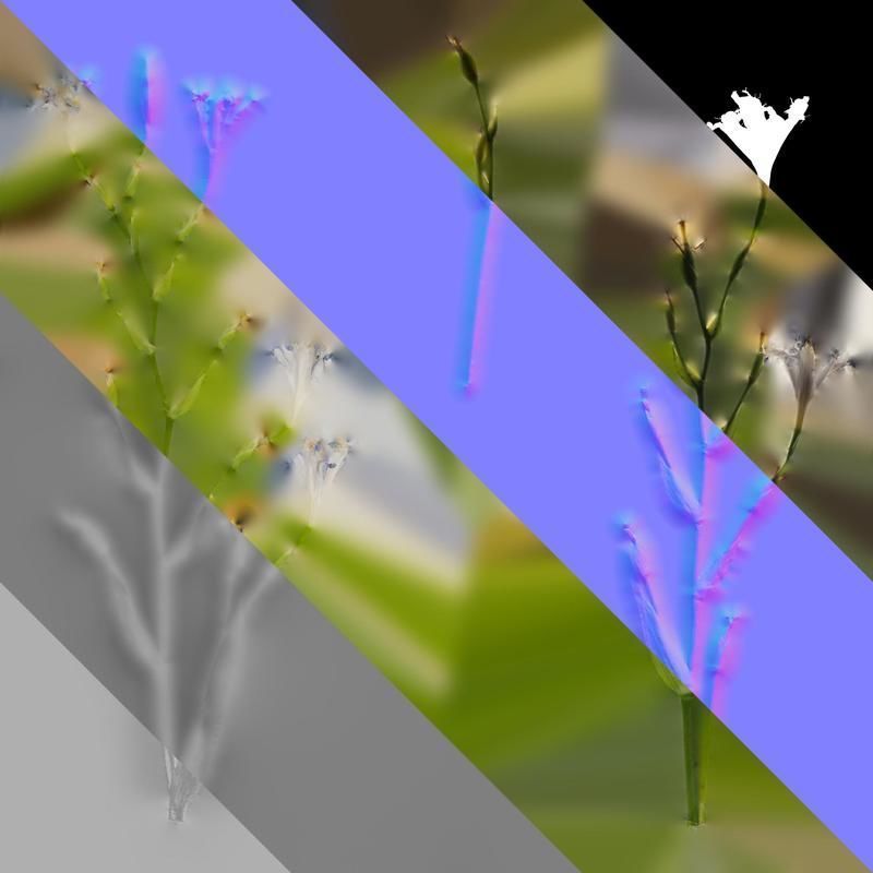 Anydrafts Iris confusa Atlas 05 Texture_8