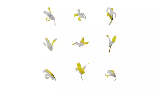 Anydrafts Forsythia viridissima Flower 02 Texture