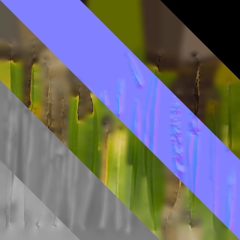 Anydrafts Iris confusa Leaf 03 Texture_8