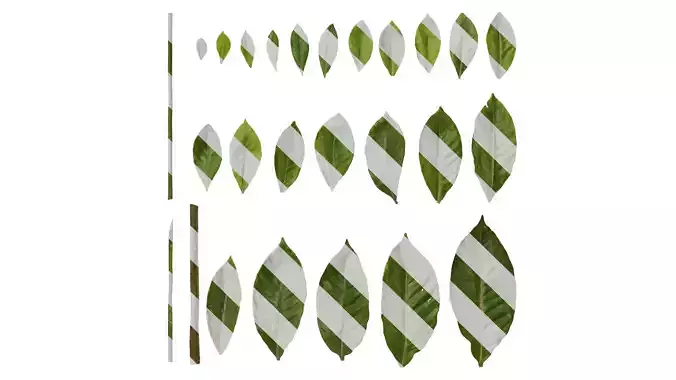 Anydrafts Gardenia jasminoides Leaf 02