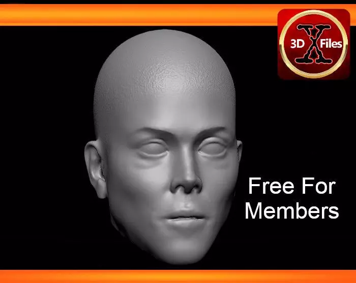 Ripley - Alien 3 - Hot Toys Head Sculpt - custom Action Figure 3D print model