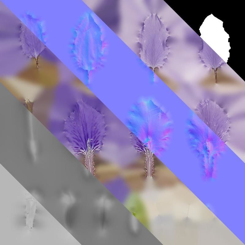 Anydrafts Iris tectorum Flower 10 Texture_8