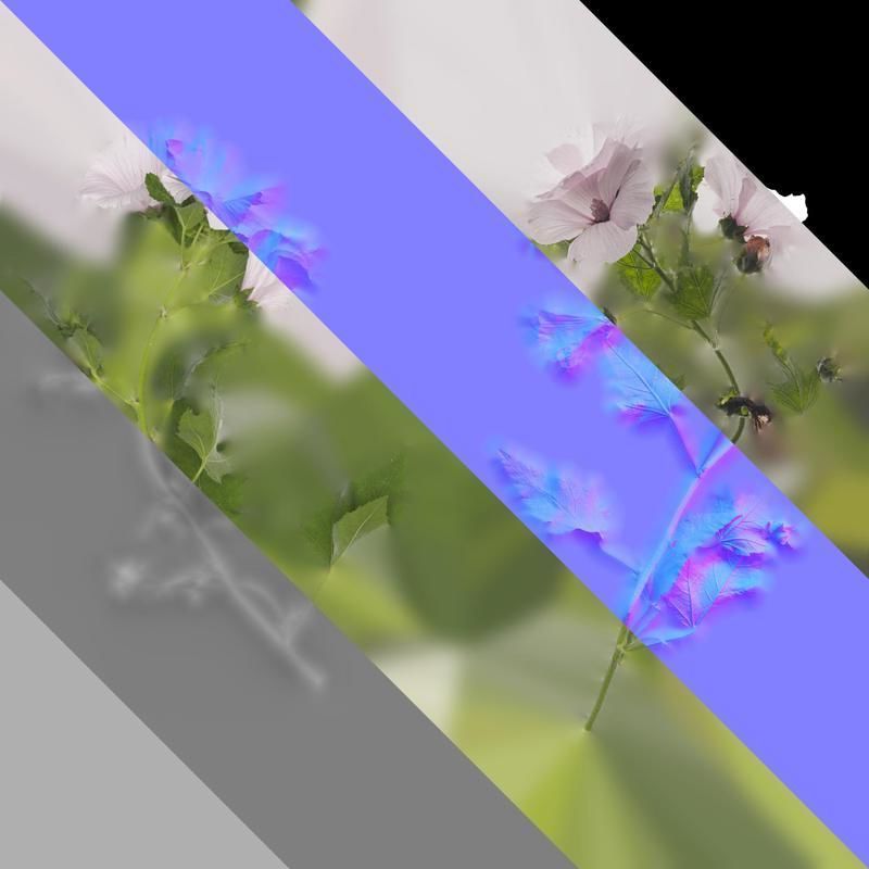 Anydrafts Lavatera trimestris Atlas 02 Texture_8