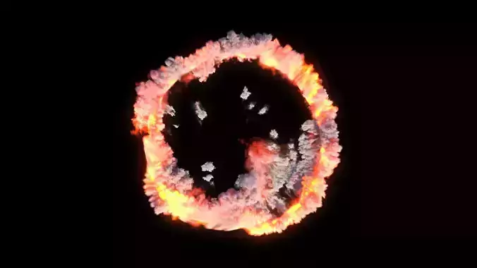 Explosion Ring 02 VDB Sequence 3D model