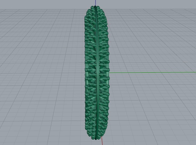 Ring N011285 3D print model_3