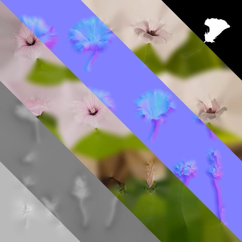 Anydrafts Lavatera trimestris Flower 05 Texture_8