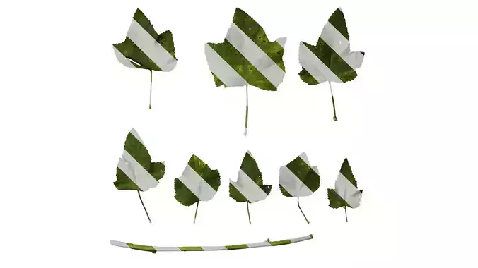 Anydrafts Lavatera trimestris Leaf 01