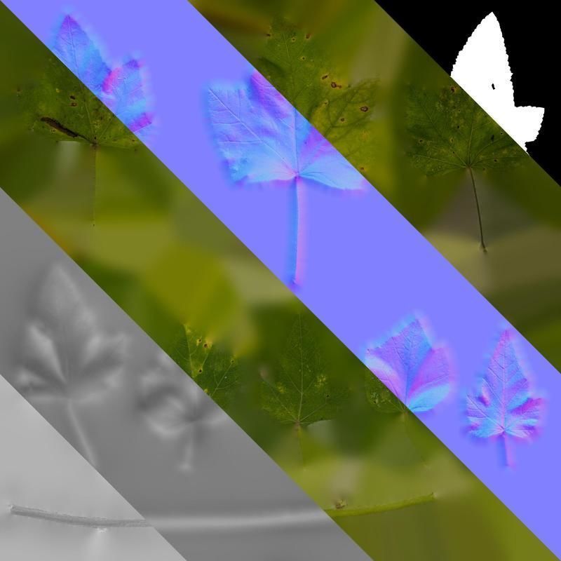 Anydrafts Lavatera trimestris Leaf 01 Texture_8