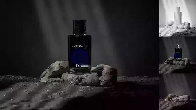 Dior Sauvage perfume sitting on the rock