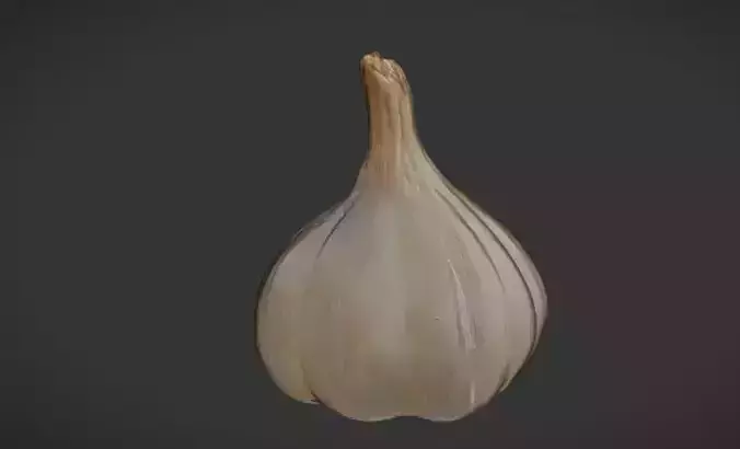 garlic 
