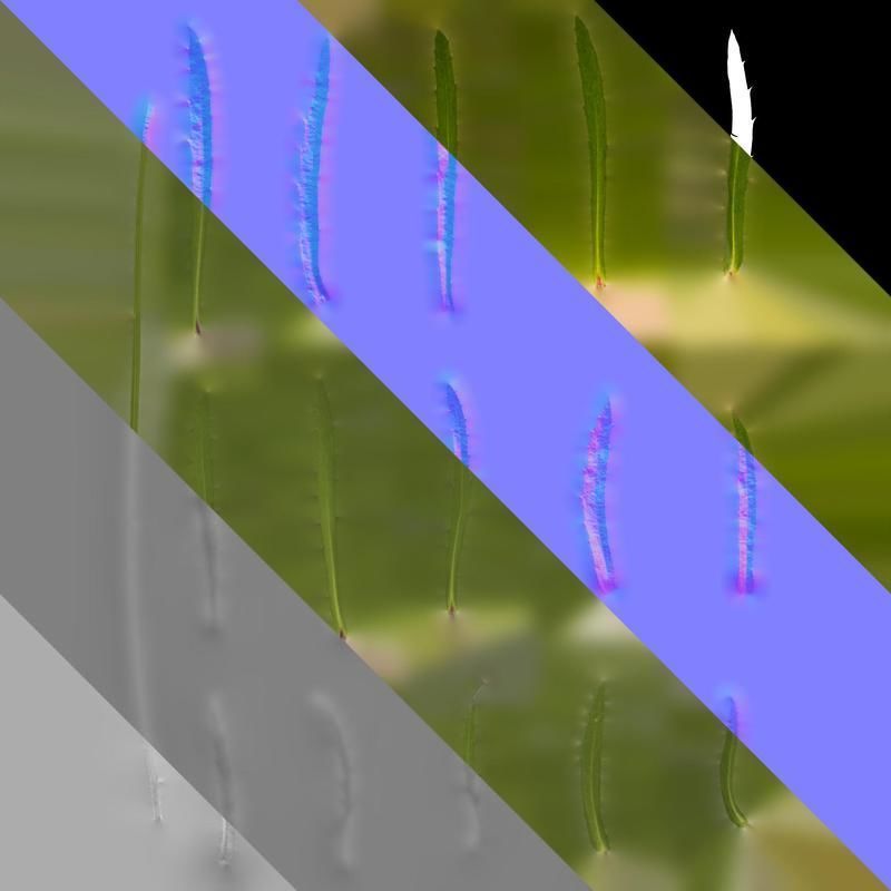 Anydrafts Leucanthemum superbum aglaia Leaf 01 Texture_8