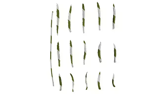 Anydrafts Leucanthemum superbum aglaia Leaf 01