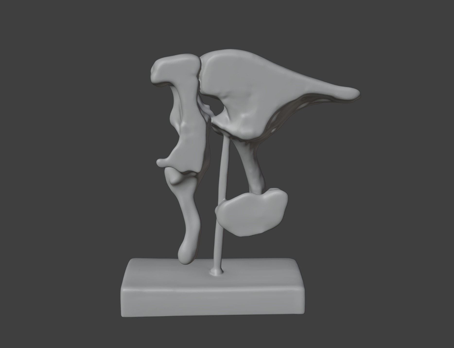 3D Model of Ossicle  3D print model_2
