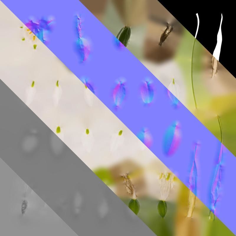 Anydrafts Leucojum aestivum Flower 01 Texture_8