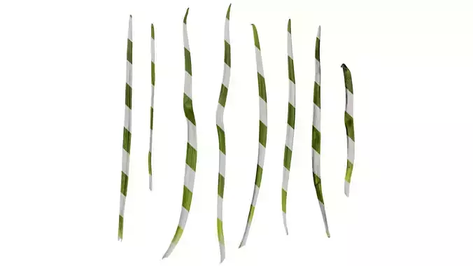 Anydrafts Leucojum aestivum Leaf 01