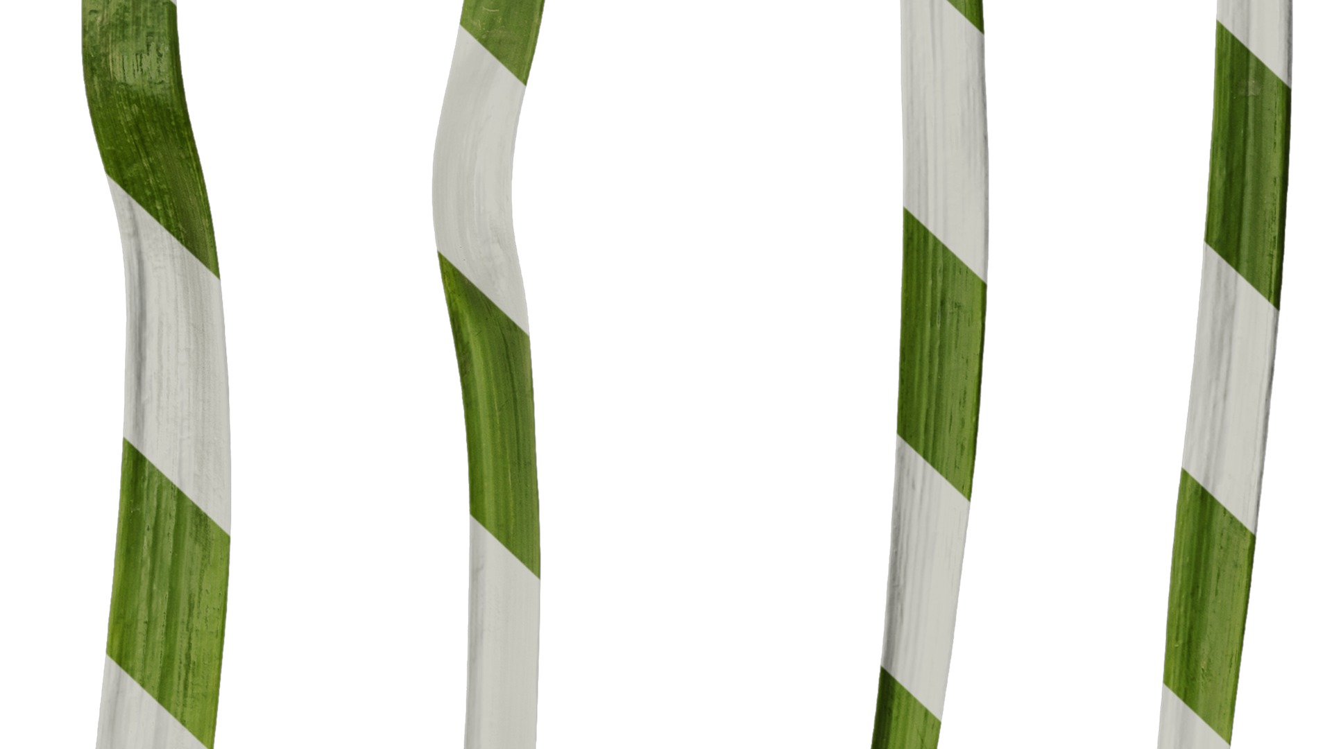 Anydrafts Leucojum aestivum Leaf 01 Texture_7