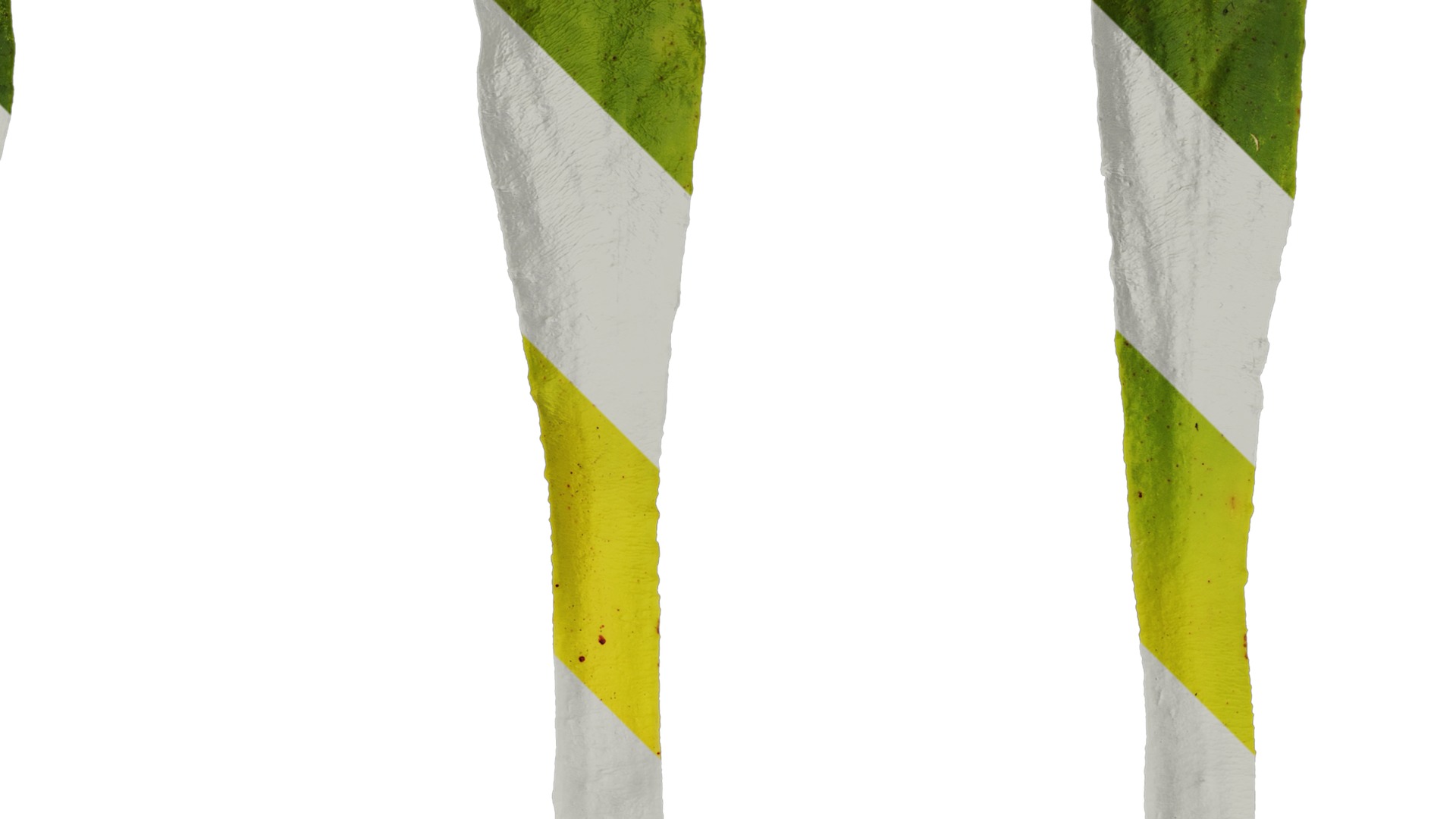 Anydrafts Lewisia cotyledon Leaf 01 Texture_2