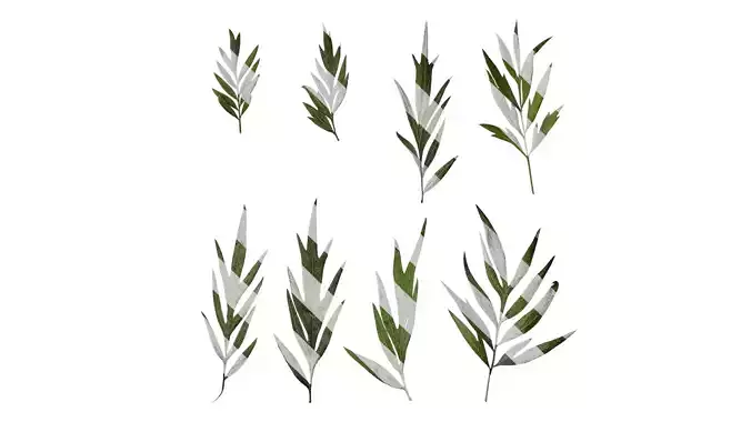 Anydrafts Grevillea robusta Leaf 06 F