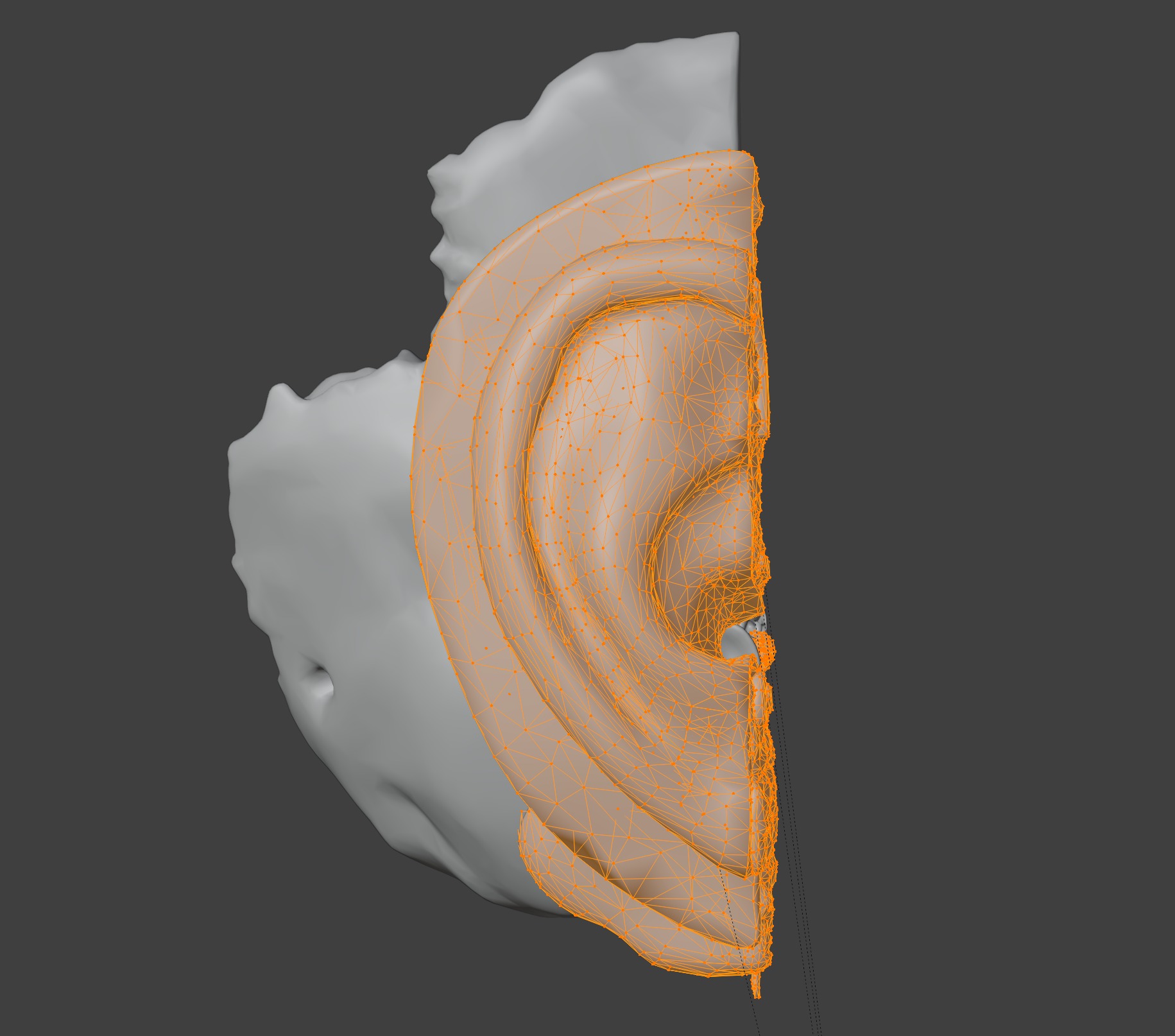 3D Model of Auditory System 3D print model_12