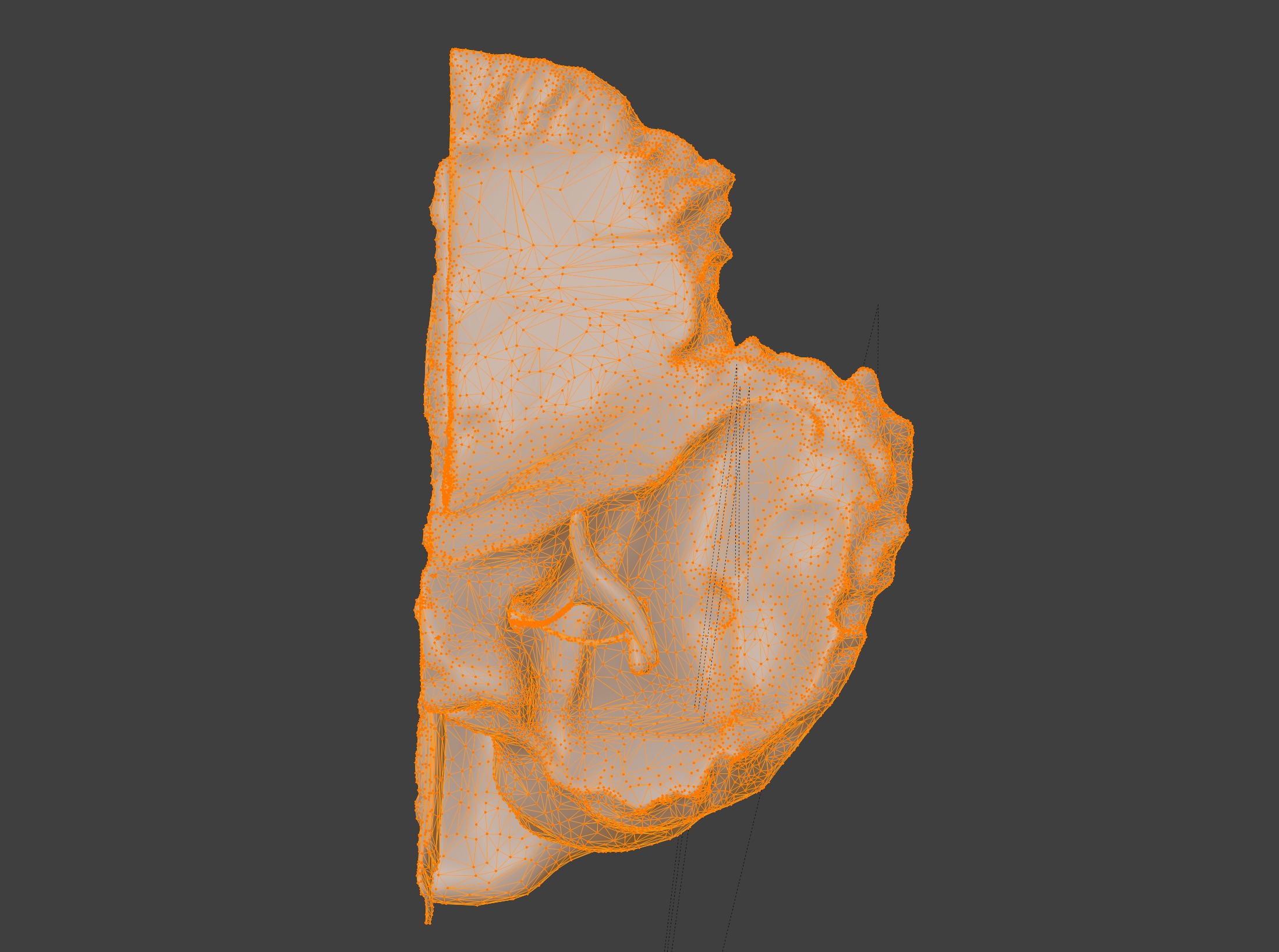 3D Model of Auditory System 3D print model_13