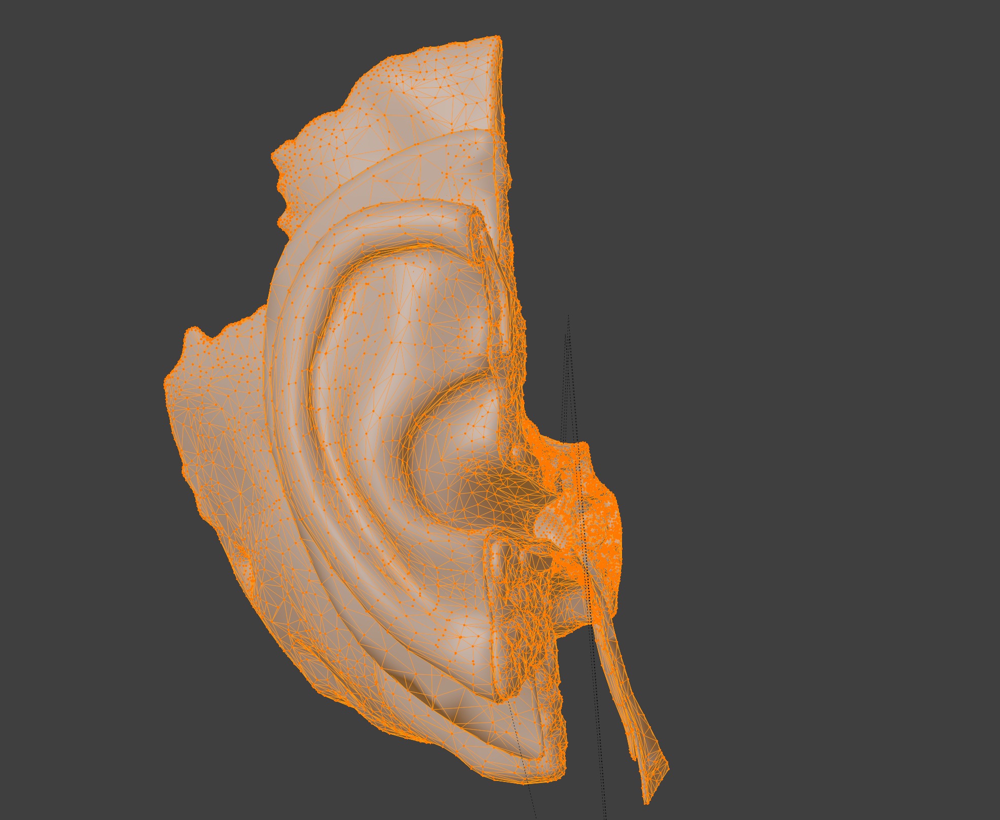 3D Model of Auditory System 3D print model_14