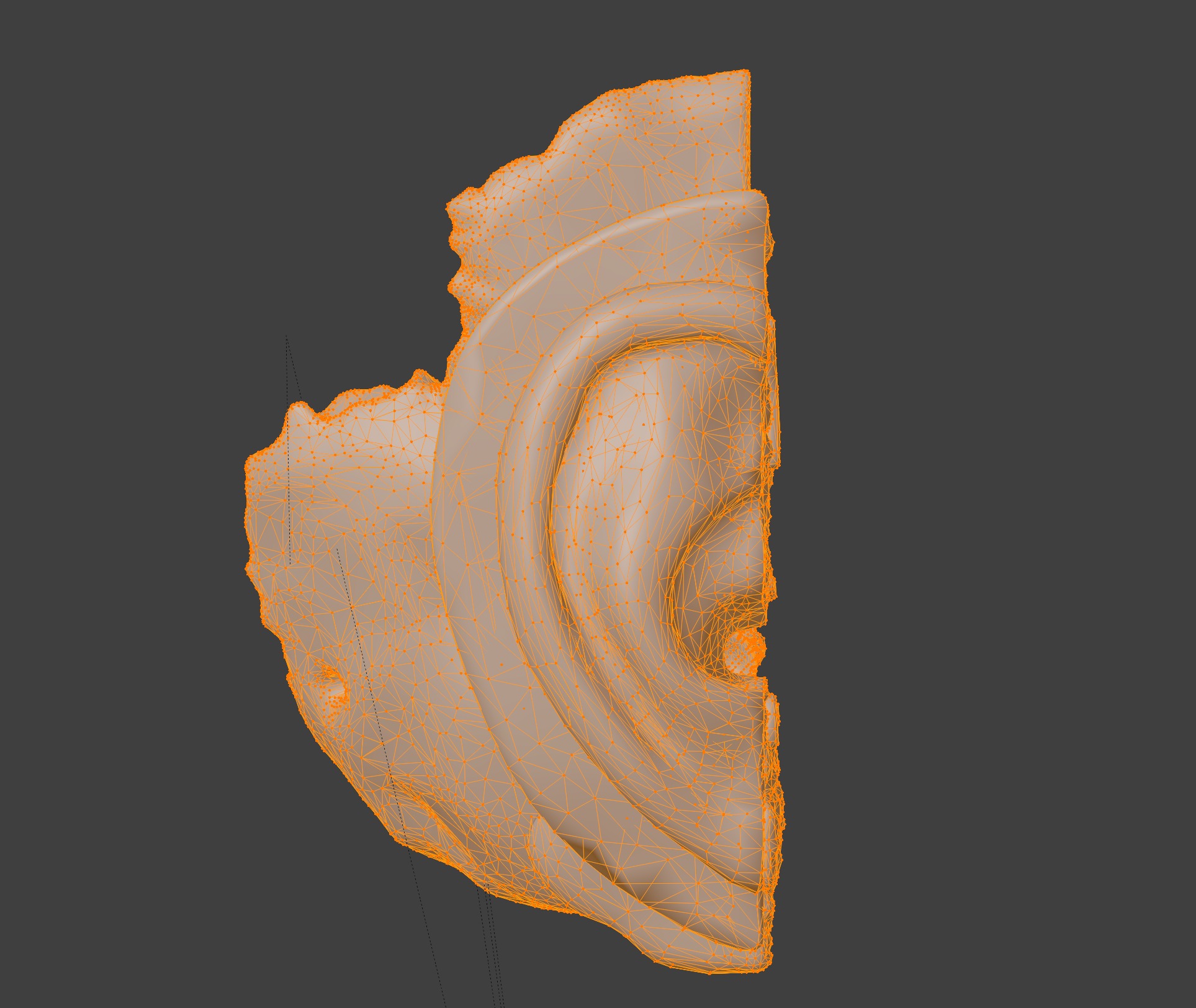 3D Model of Auditory System 3D print model_8