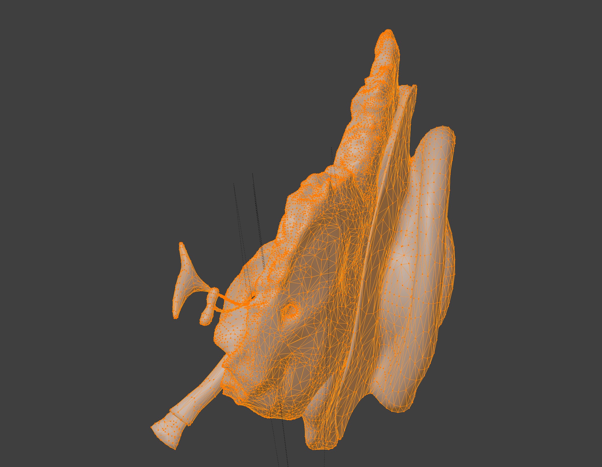 3D Model of Auditory System 3D print model_9