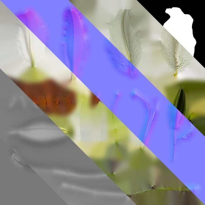 Anydrafts Lilium candidum Flower 02 Texture_8