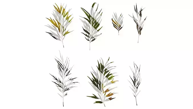 Anydrafts Grevillea robusta Leaf 09