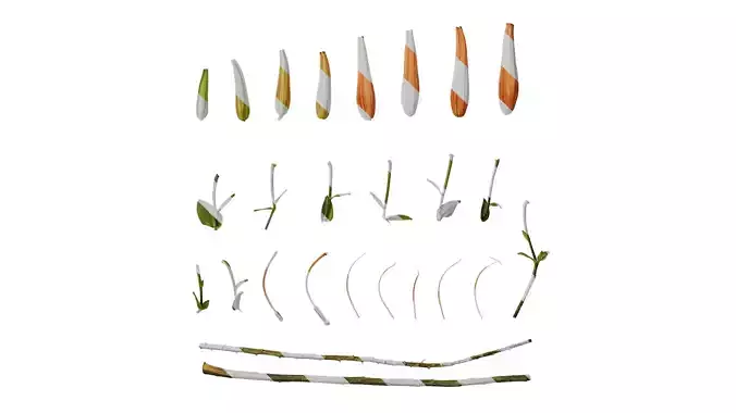 Anydrafts Lilium lancifolium Atlas 01