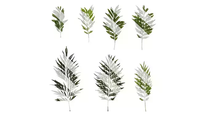 Anydrafts Grevillea robusta Leaf 10