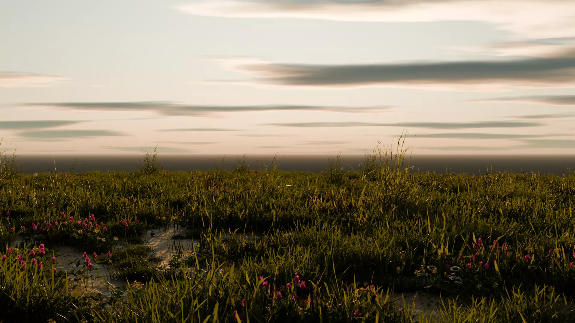 Grass Pack Free 3D model