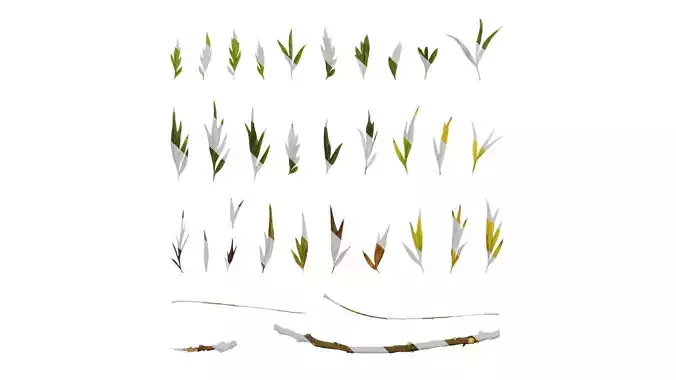 Anydrafts Grevillea robusta Leaf 11 F