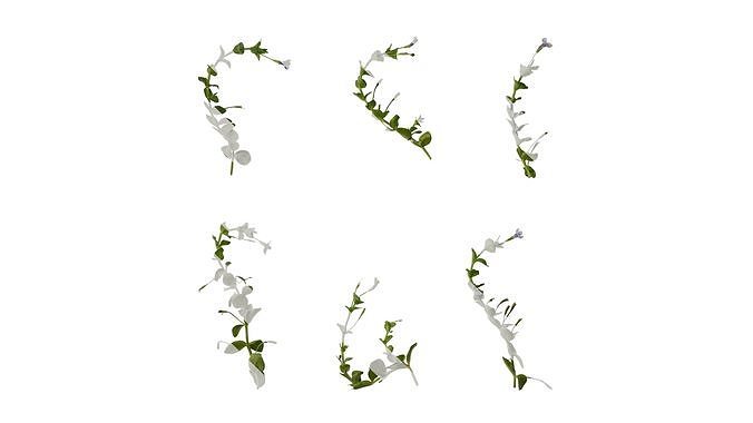Anydrafts Lindernia grandiflora Atlas 01 Texture