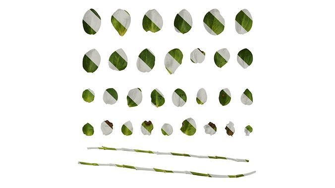 Anydrafts Lindernia grandiflora Leaf 01 Texture