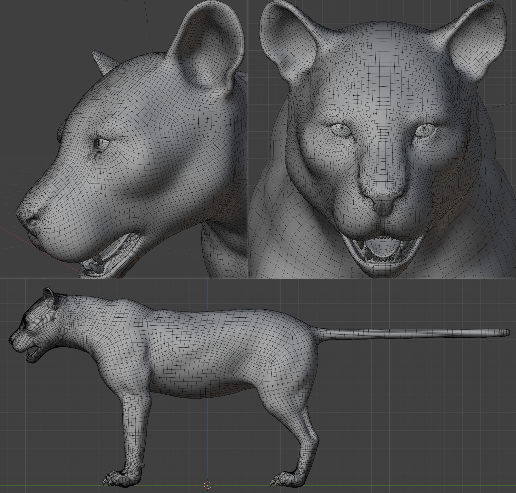Tiger Rigged Animated 3D model_26