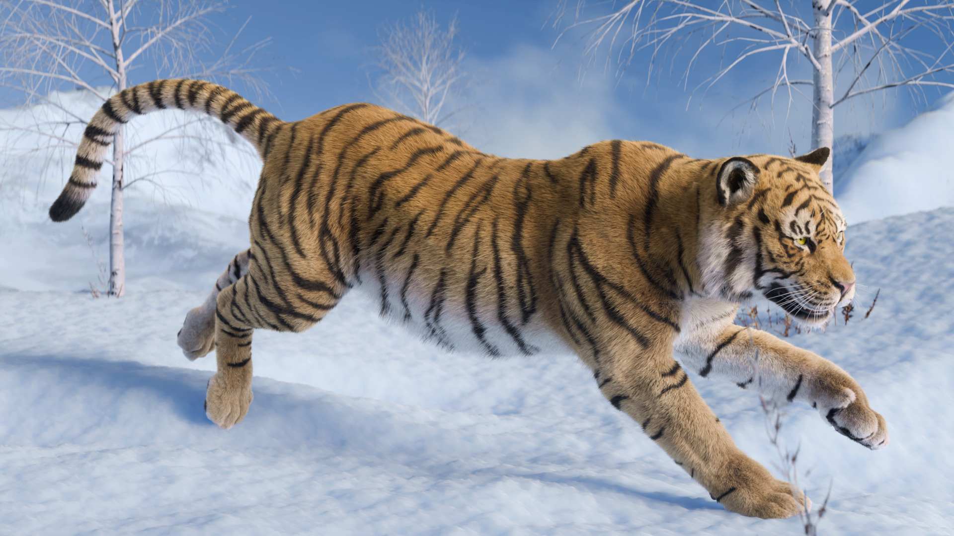 Tiger Rigged Animated 3D model_4