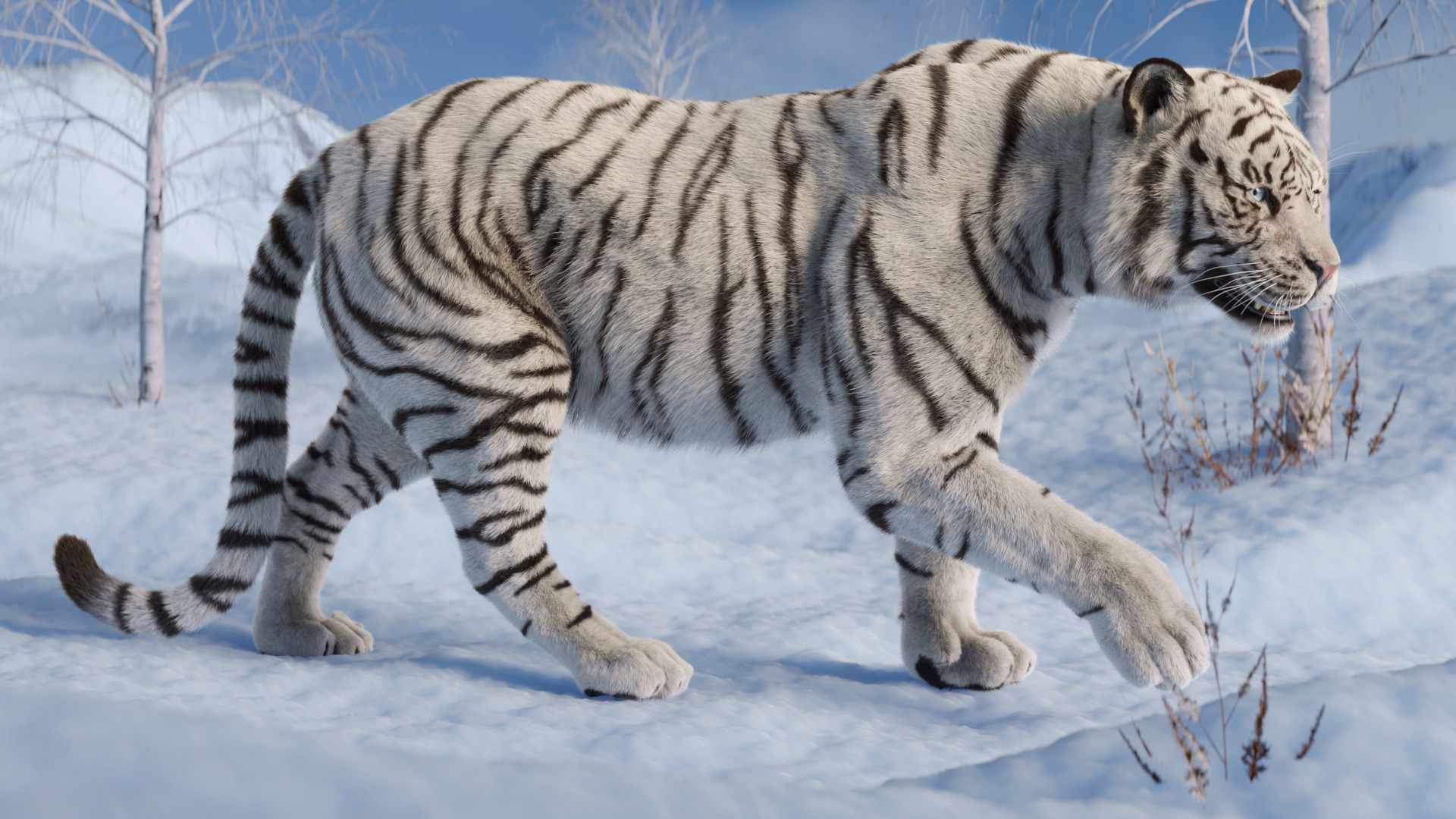 Tiger Rigged Animated 3D model_7