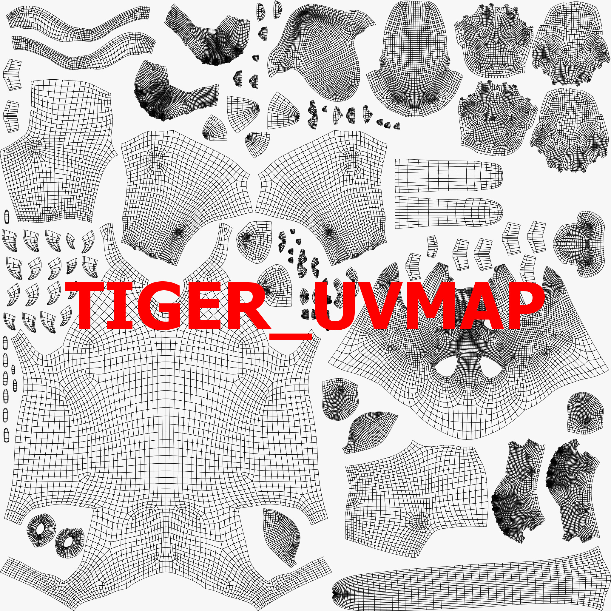 Tiger Rigged Animated 3D model_27