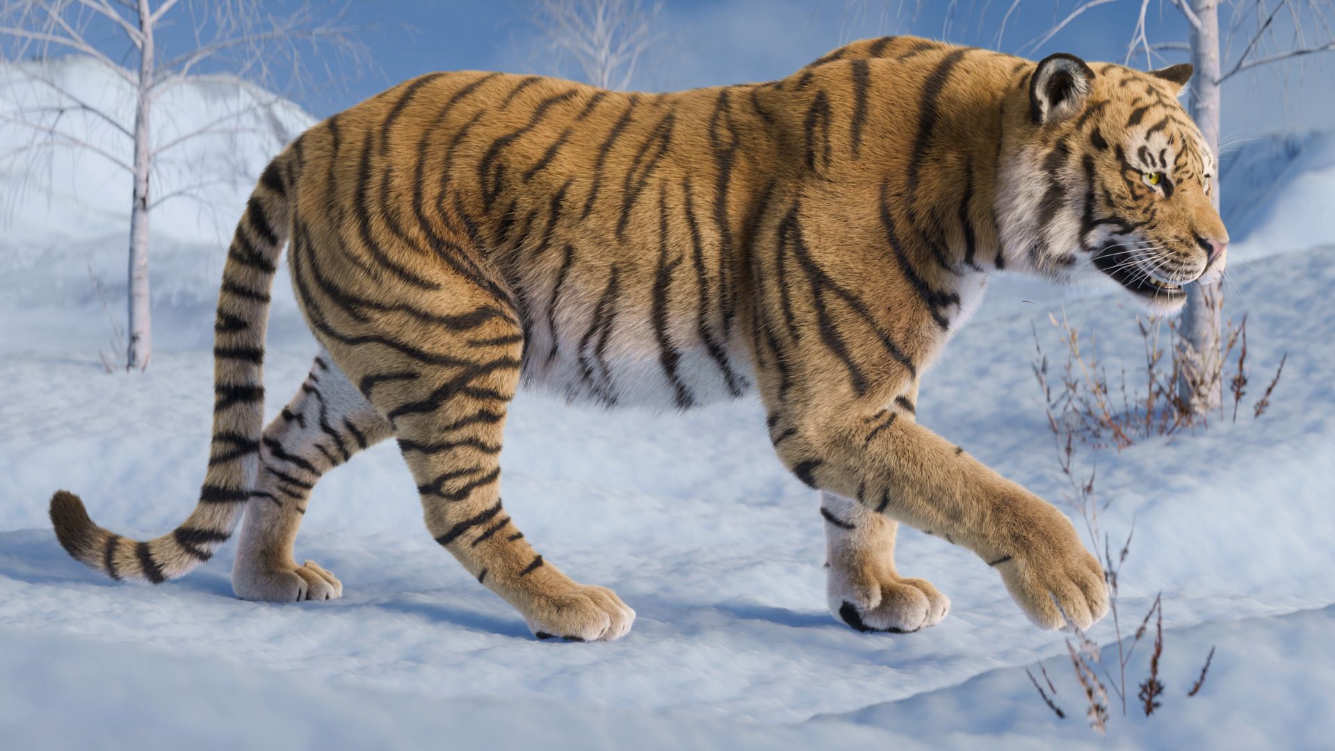 Tiger Rigged Animated 3D model_2