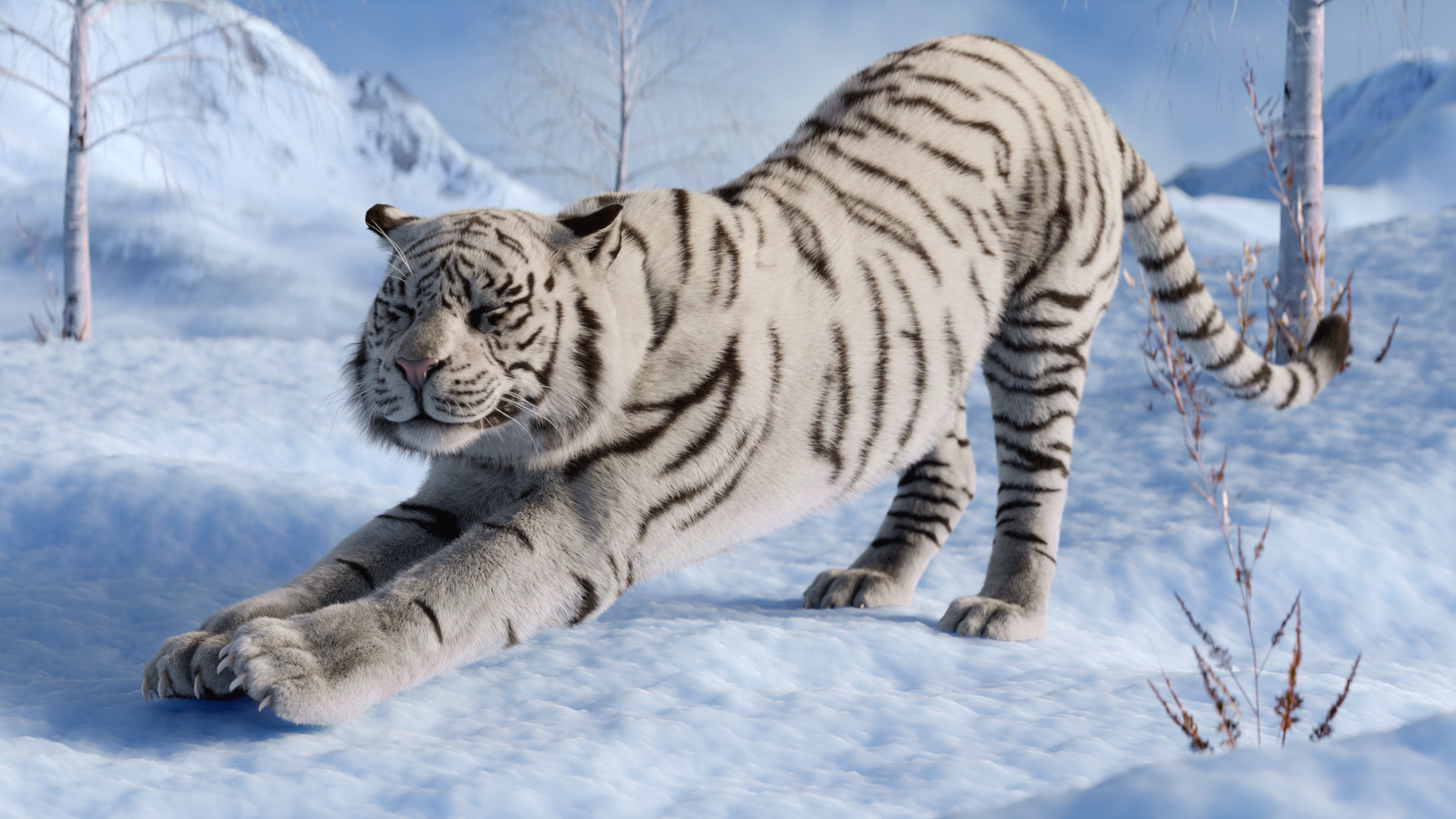 Tiger Rigged Animated 3D model_9