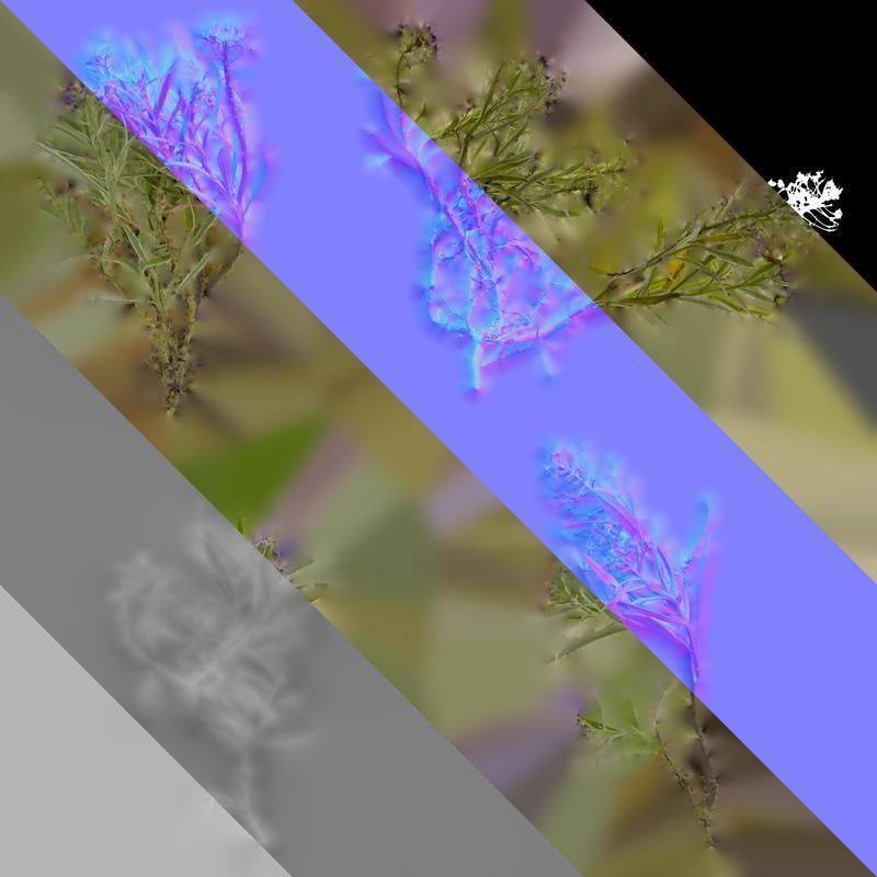 Anydrafts Lobularia maritima Atlas 03 Texture_8