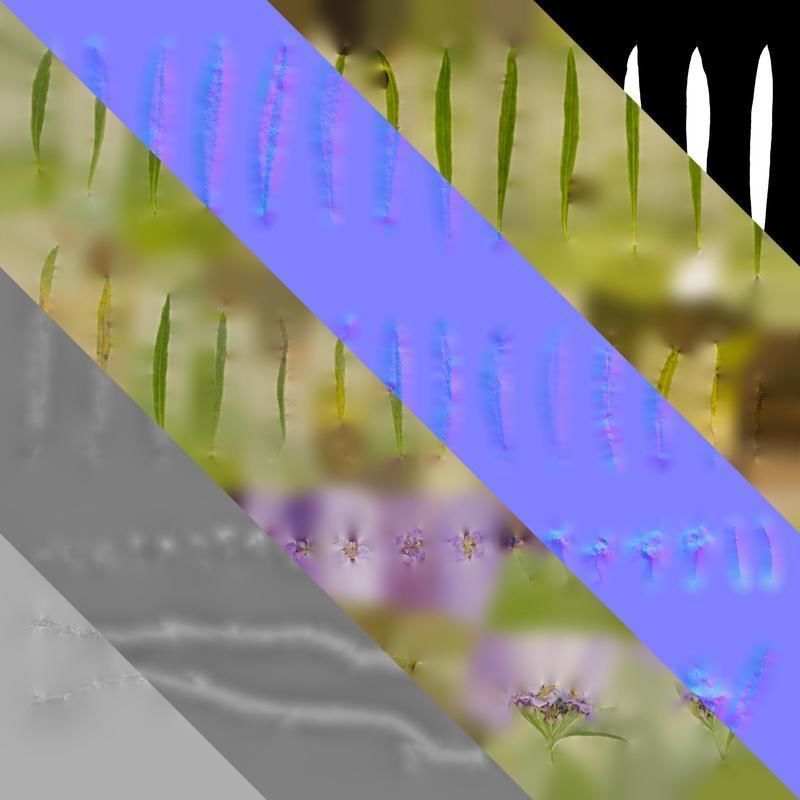 Anydrafts Lobularia maritima Atlas 05 Texture_8