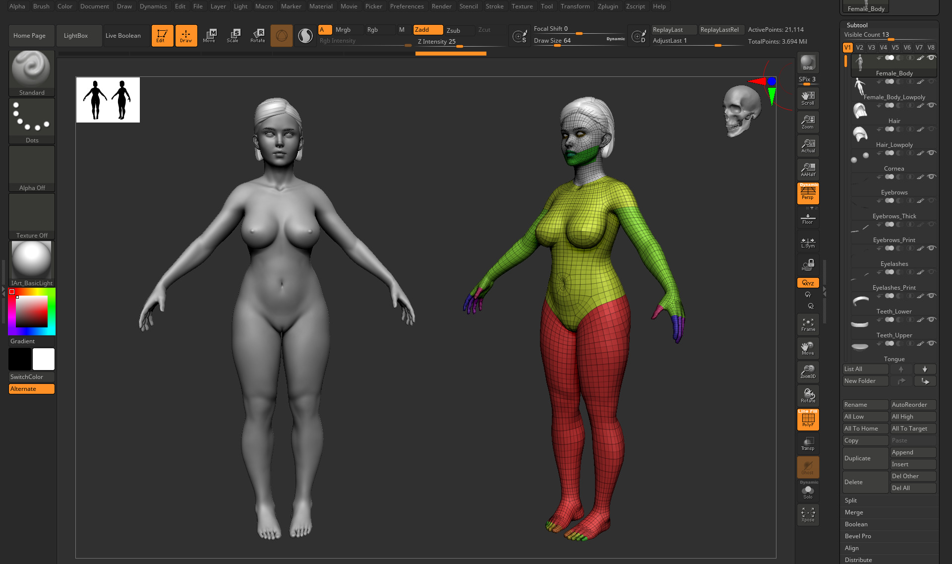 Female Body 3D model_19