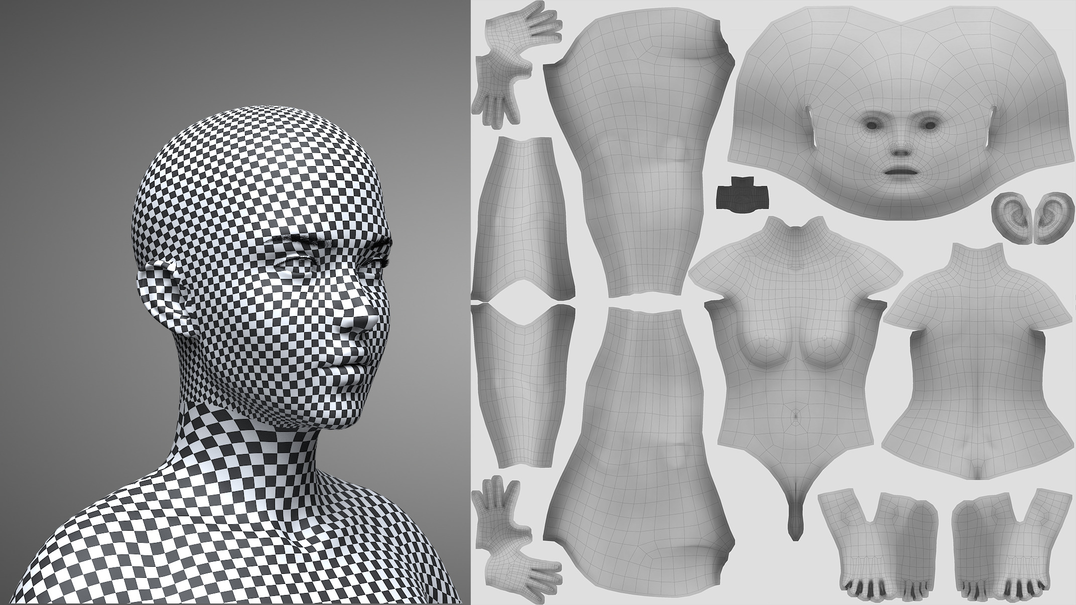 Female Body 3D model_17