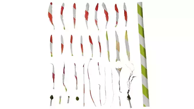 Anydrafts Lycoris radiata Flower 04