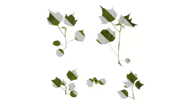 Anydrafts Hibiscus mutabilis Atlas 10